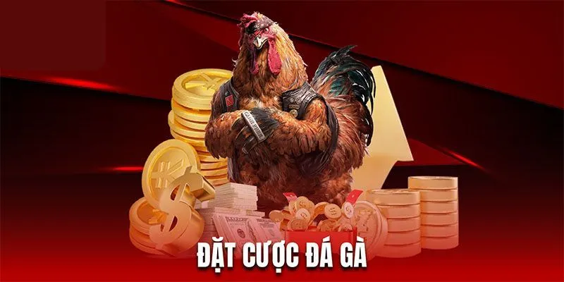 Giới thiệu đôi nét đặc sắc về chuyên mục đình đám bậc nhất đá gà 188BET