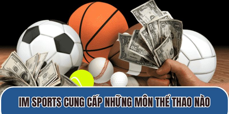 IM Sports cung cấp những môn thể thao nào